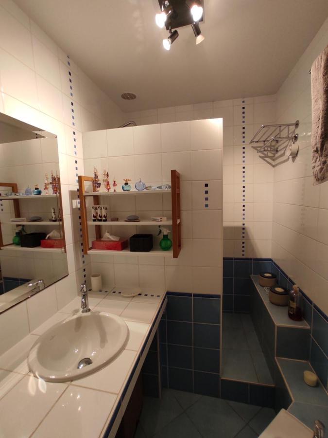 Appartement Calme Proche Toulouse Saint-Jean  Ngoại thất bức ảnh